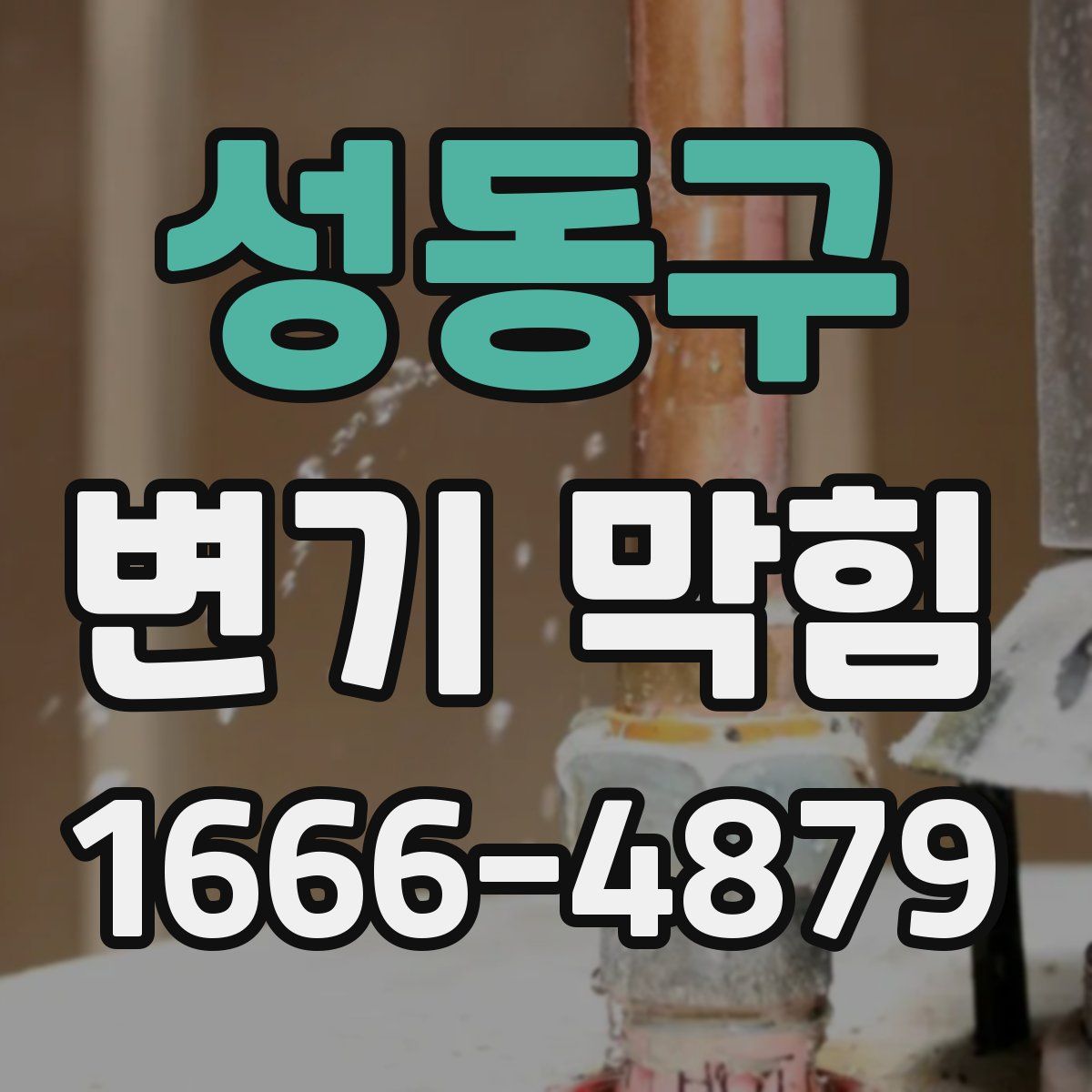 성동구 변기 막힘