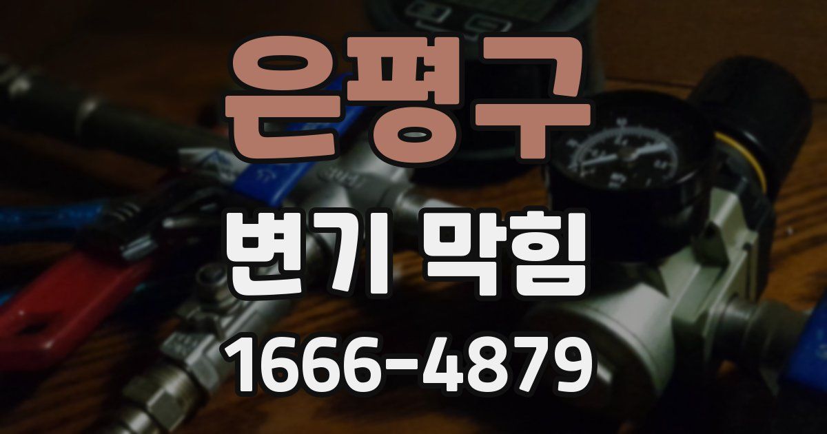 은평구 변기 막힘