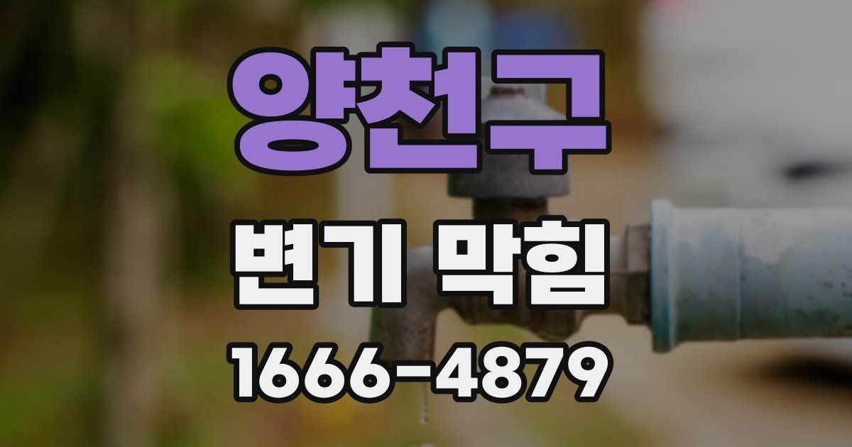 양천구 변기 막힘