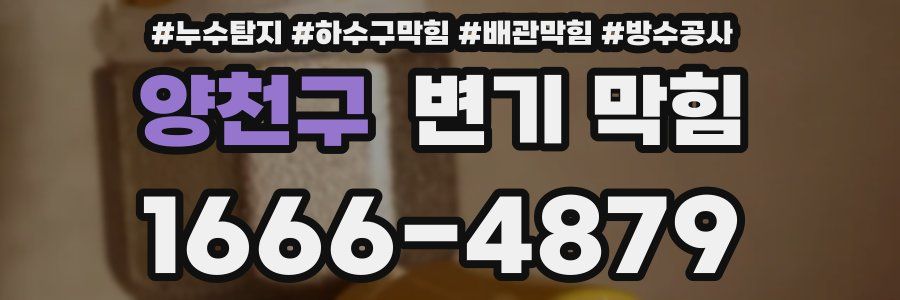 양천구 변기 막힘