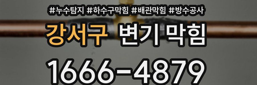 강서구 변기 막힘