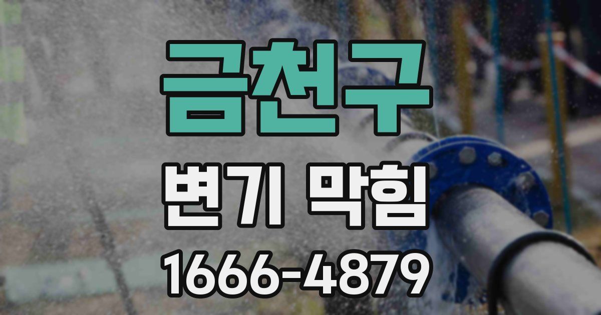 금천구 변기 막힘