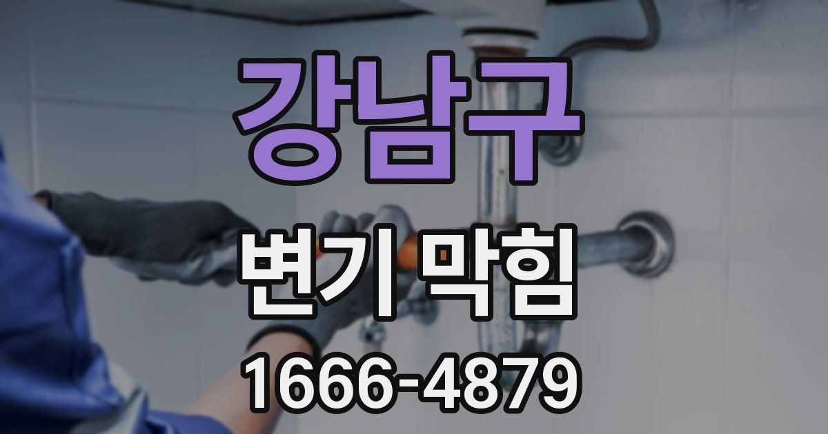강남구 변기 막힘
