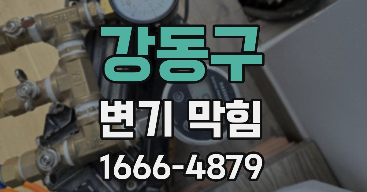 강동구 변기 막힘