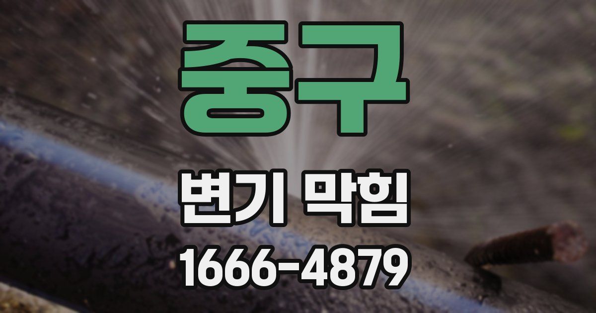 중구 변기 막힘