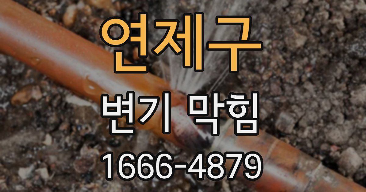 연제구 변기 막힘