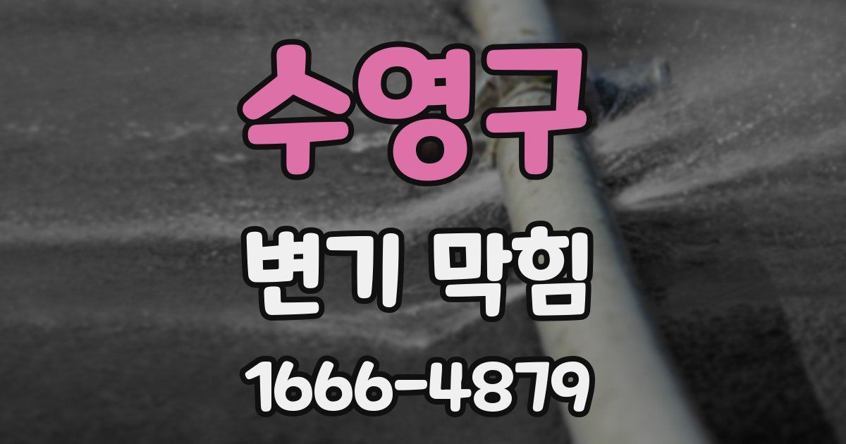 수영구 변기 막힘