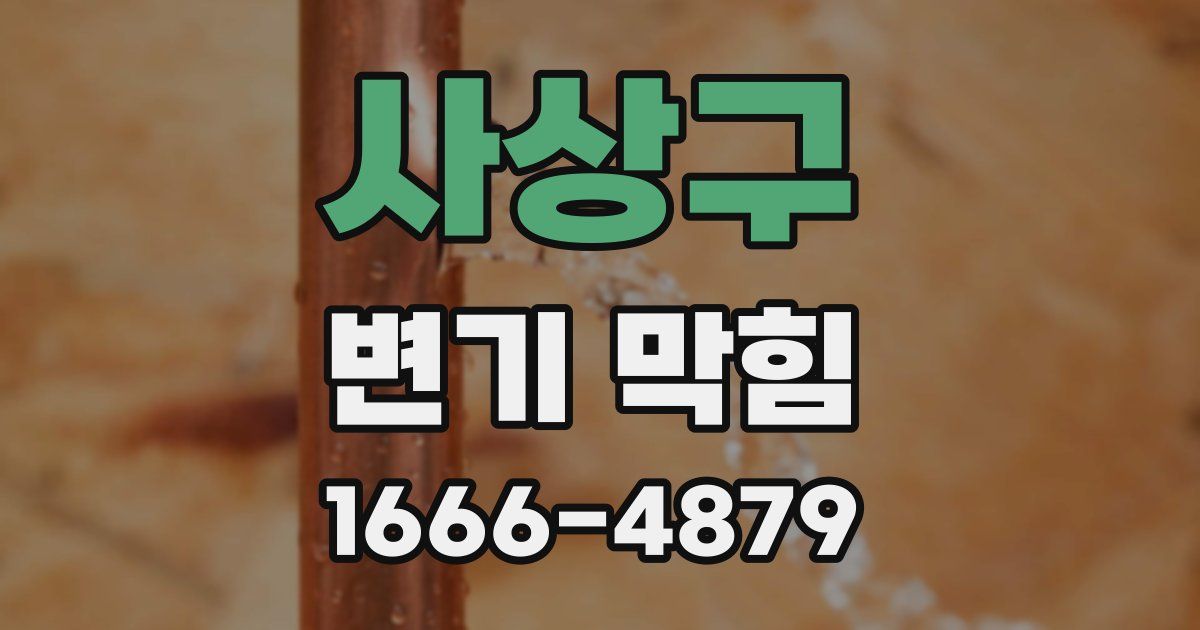 사상구 변기 막힘