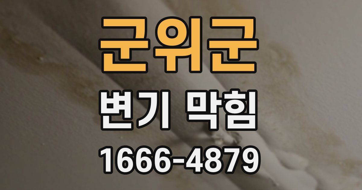 군위군 변기 막힘