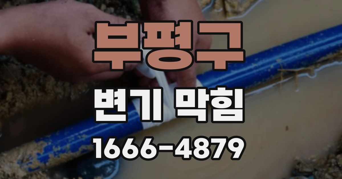 부평구 변기 막힘