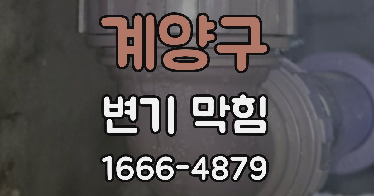 계양구 변기 막힘