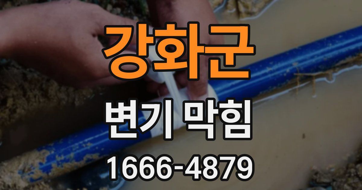 강화군 변기 막힘