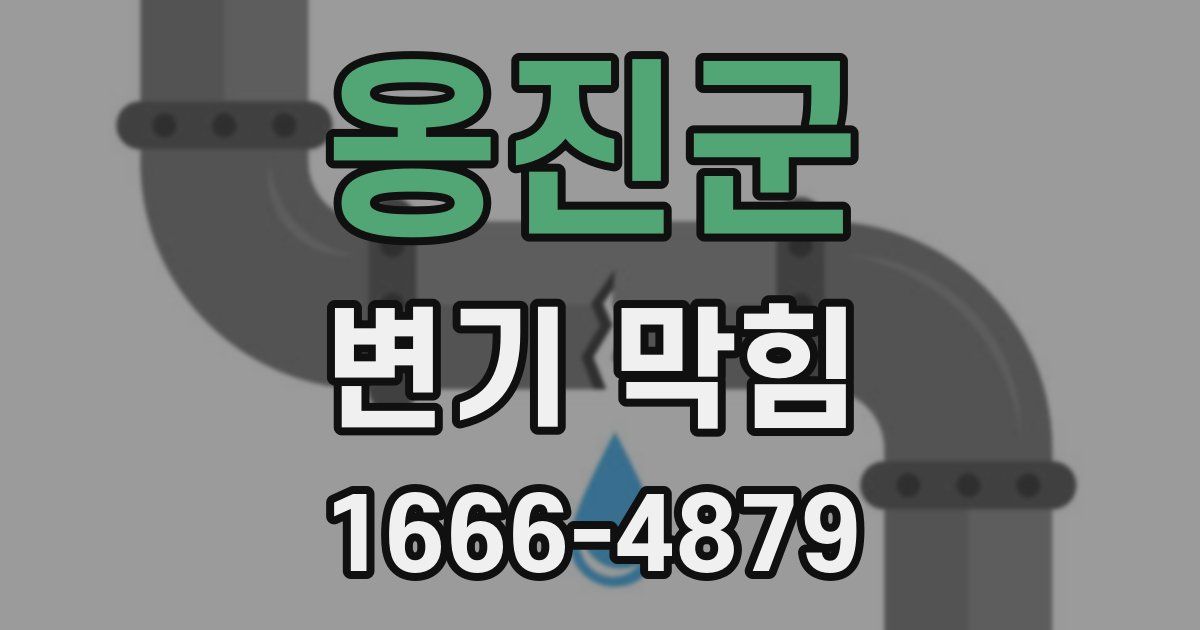 옹진군 변기 막힘