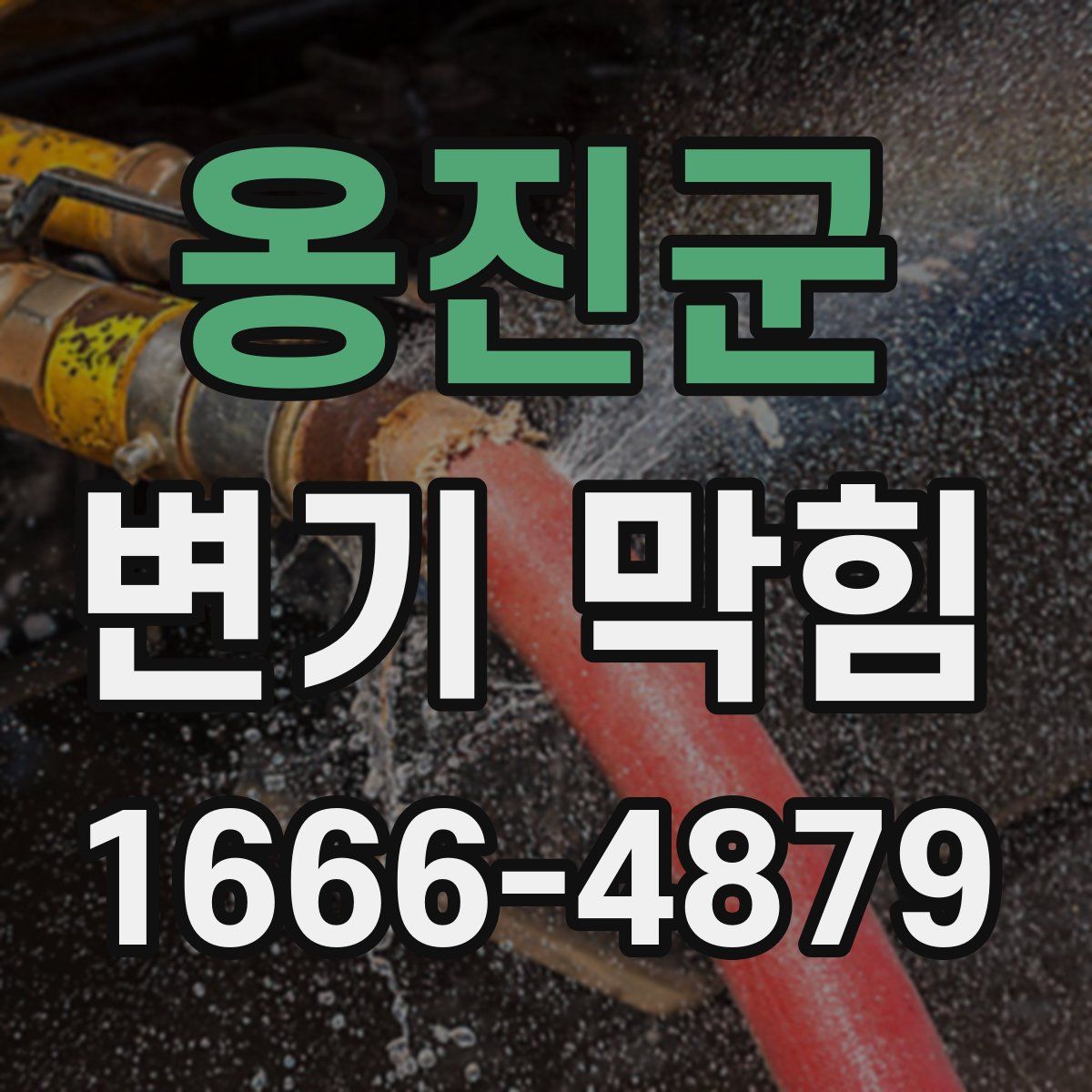 옹진군 변기 막힘