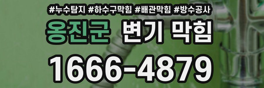 옹진군 변기 막힘