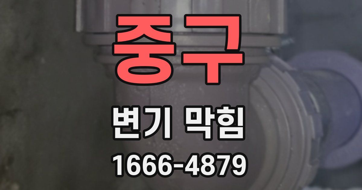 중구 변기 막힘