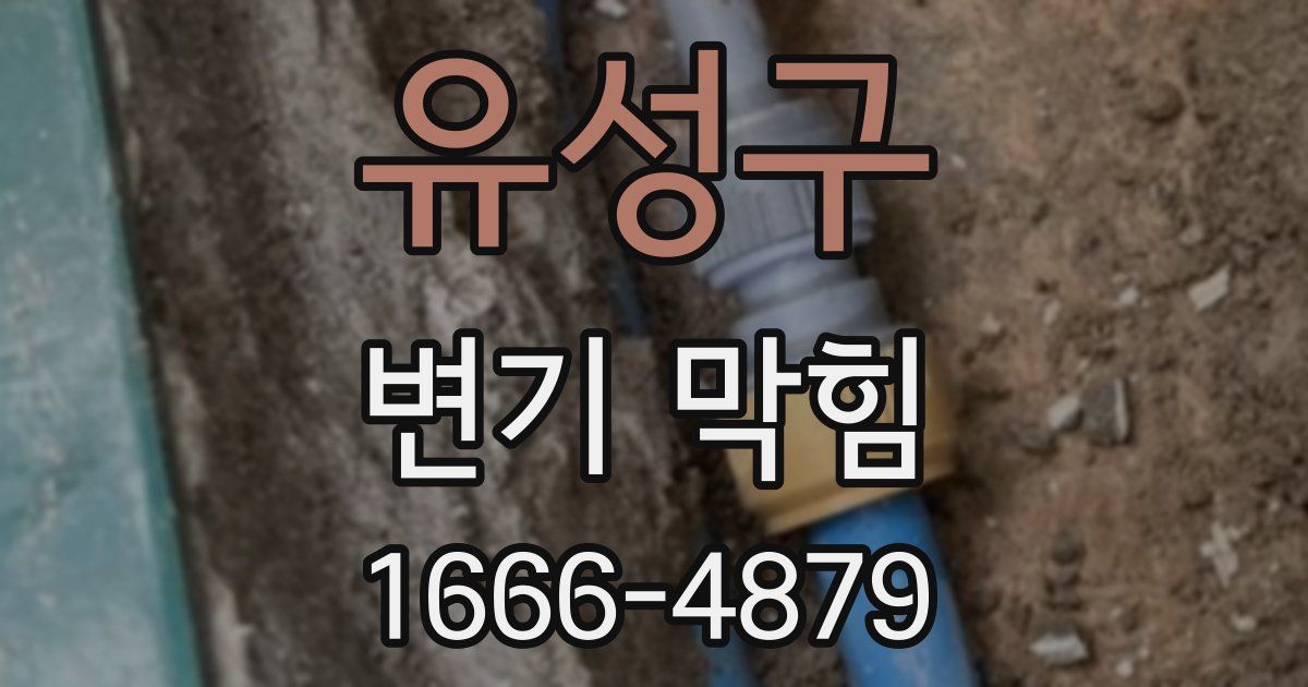 유성구 변기 막힘