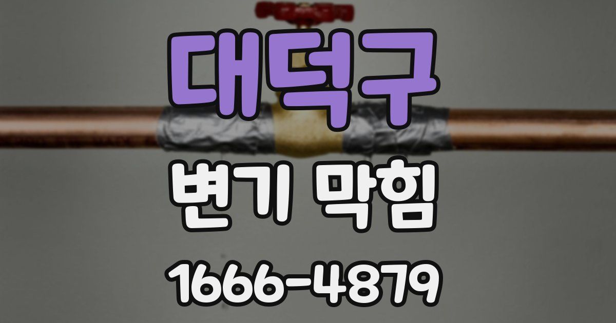 대덕구 변기 막힘