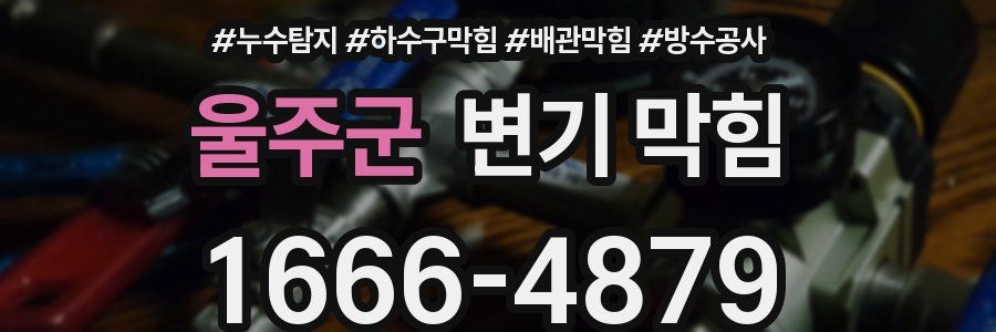 울주군 변기 막힘