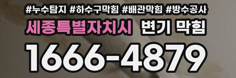 세종특별자치시 변기 막힘