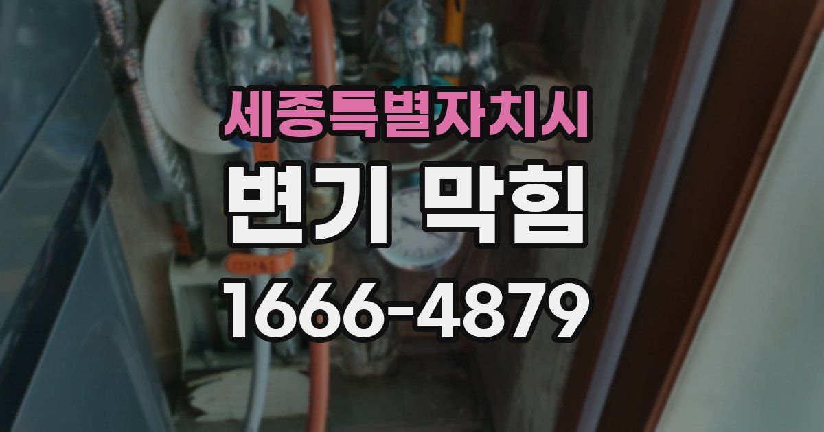 세종특별자치시 변기 막힘