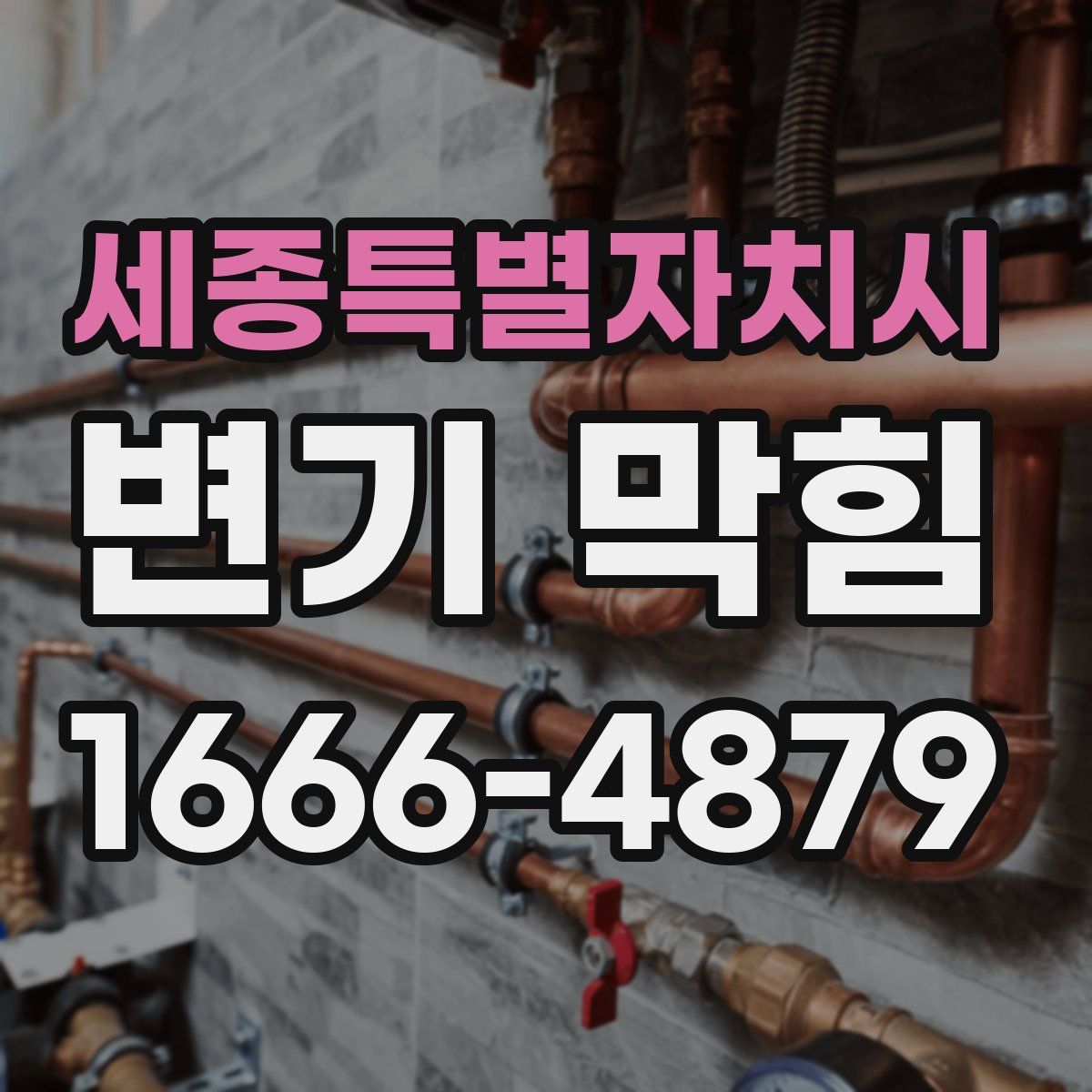 세종특별자치시 변기 막힘