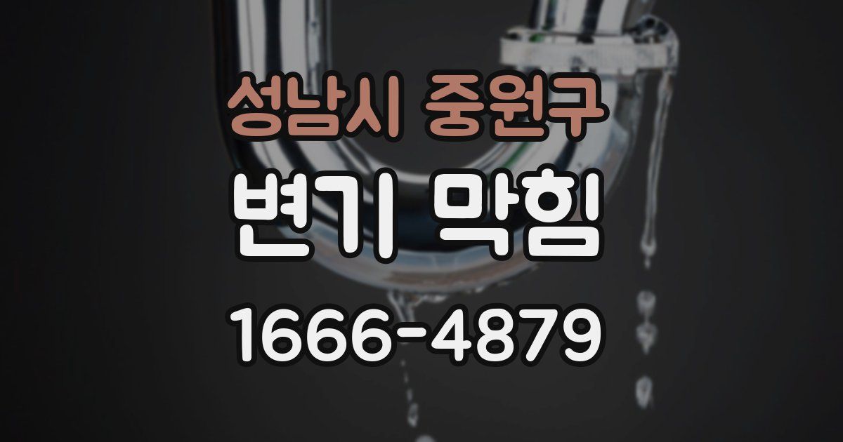 성남시 중원구 변기 막힘