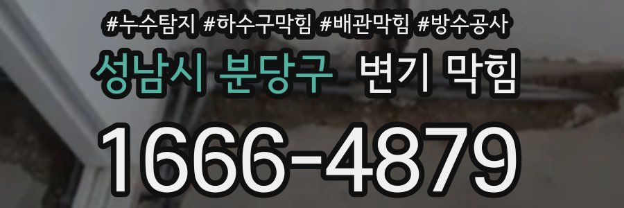 성남시 분당구 변기 막힘