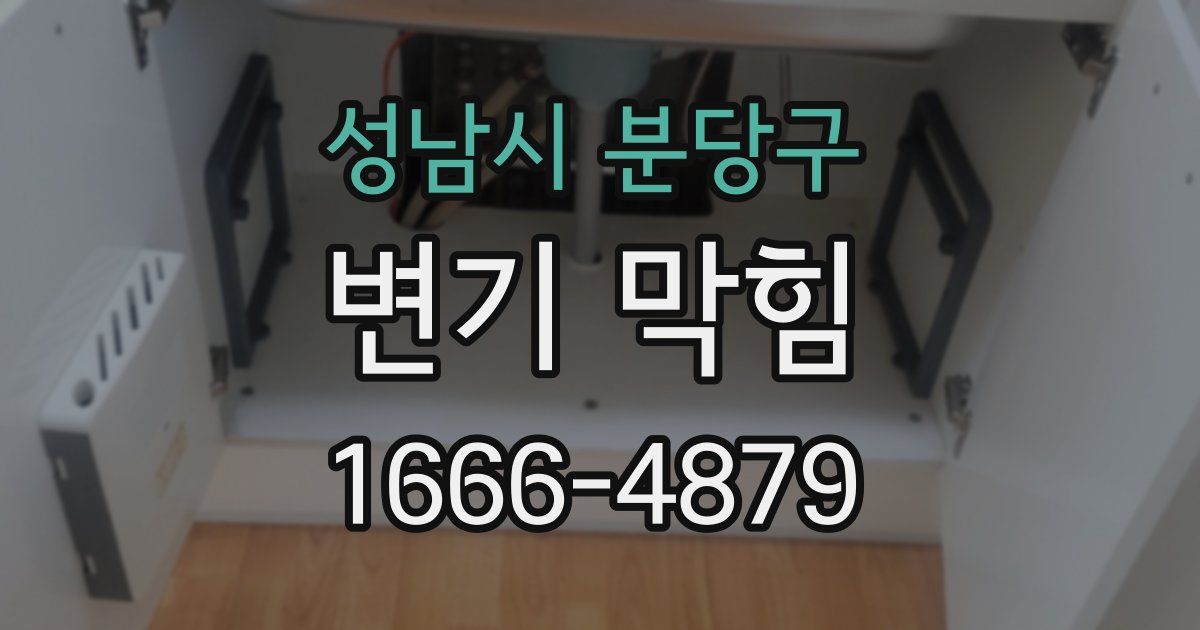 성남시 분당구 변기 막힘