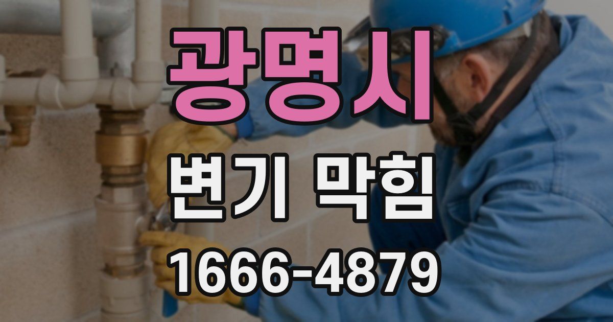 광명시 변기 막힘