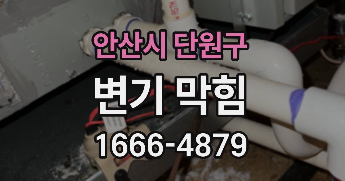 안산시 단원구 변기 막힘