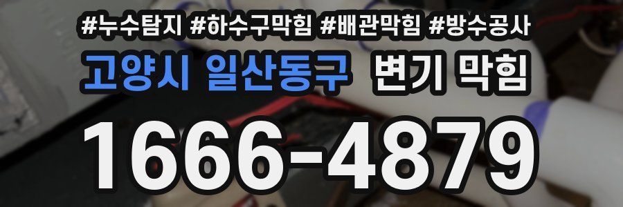 고양시 일산동구 변기 막힘