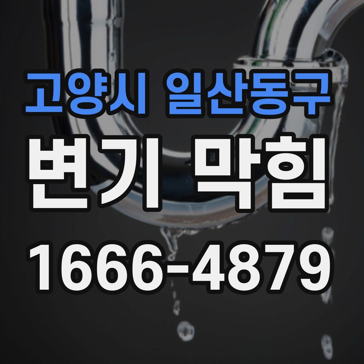 고양시 일산동구 변기 막힘
