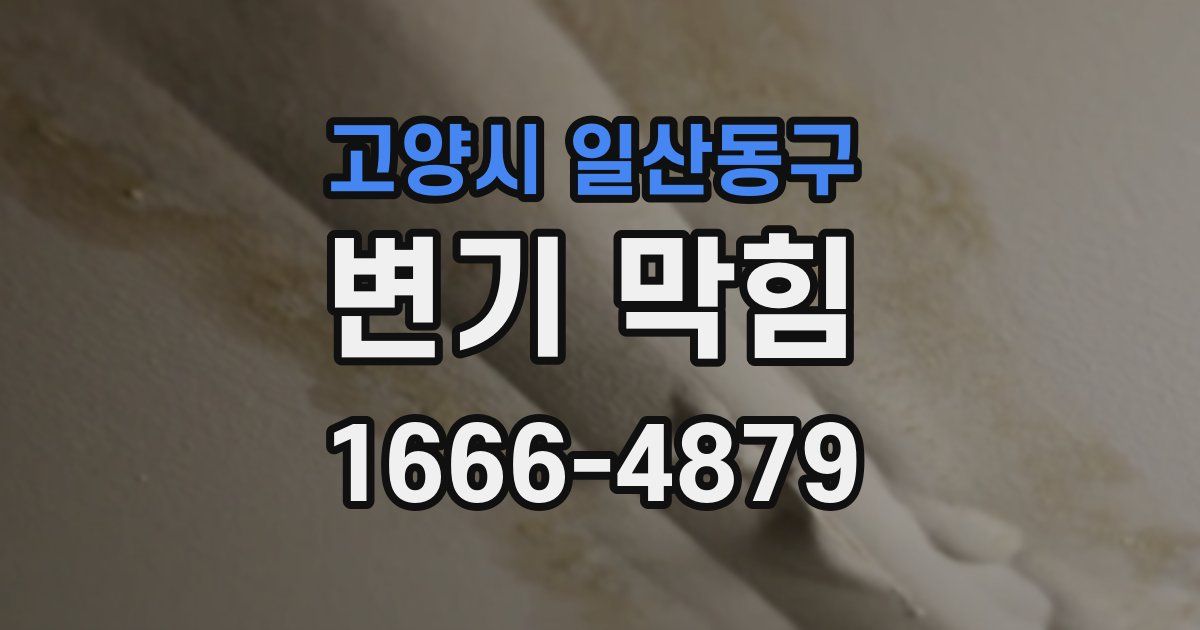 고양시 일산동구 변기 막힘