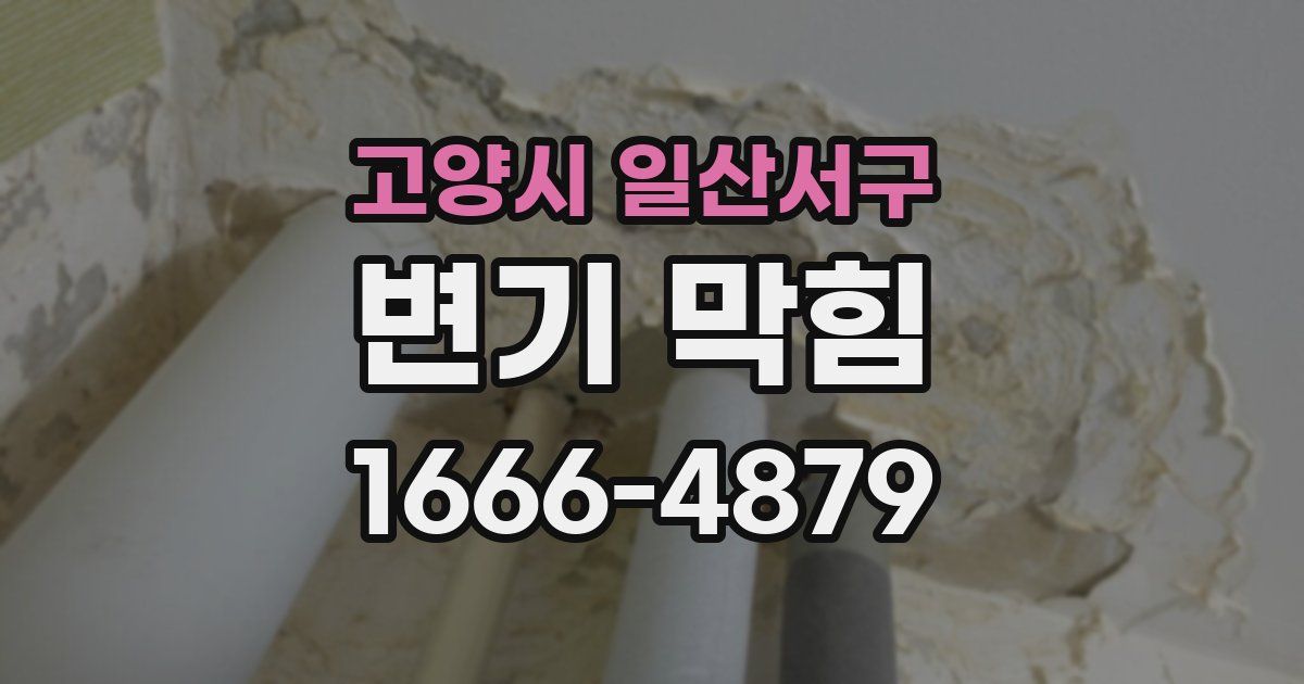고양시 일산서구 변기 막힘