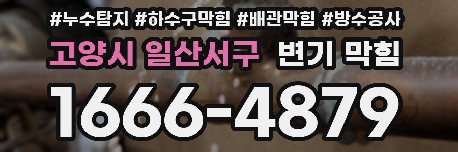 고양시 일산서구 변기 막힘