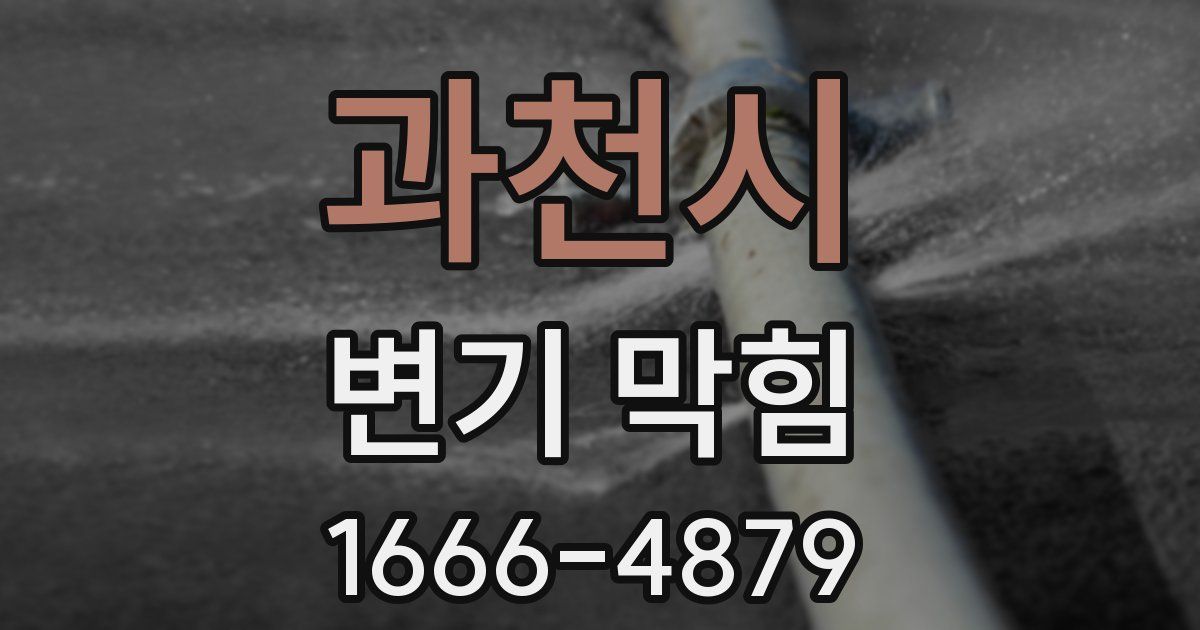 과천시 변기 막힘
