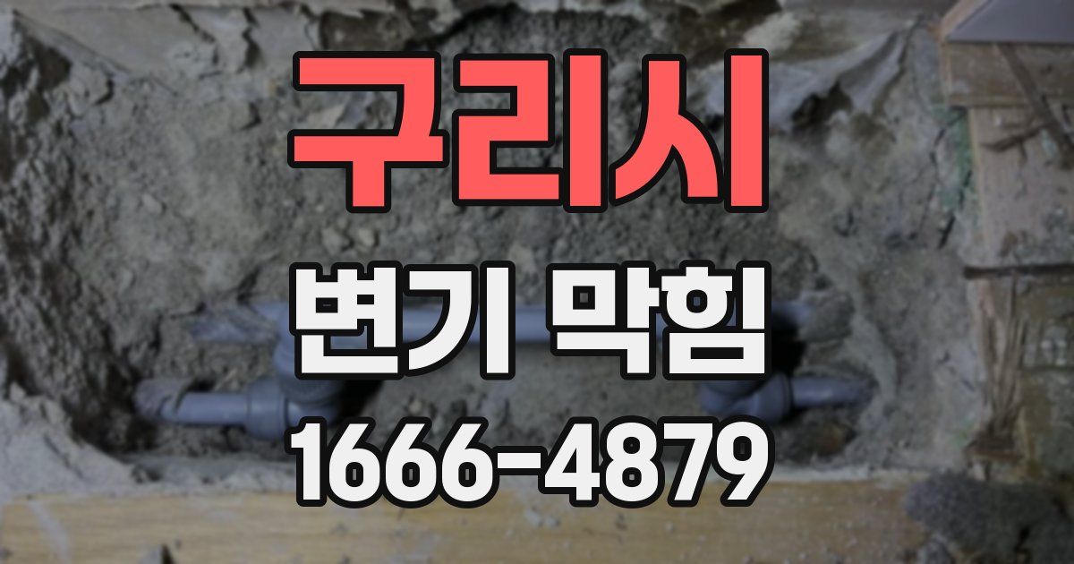 구리시 변기 막힘
