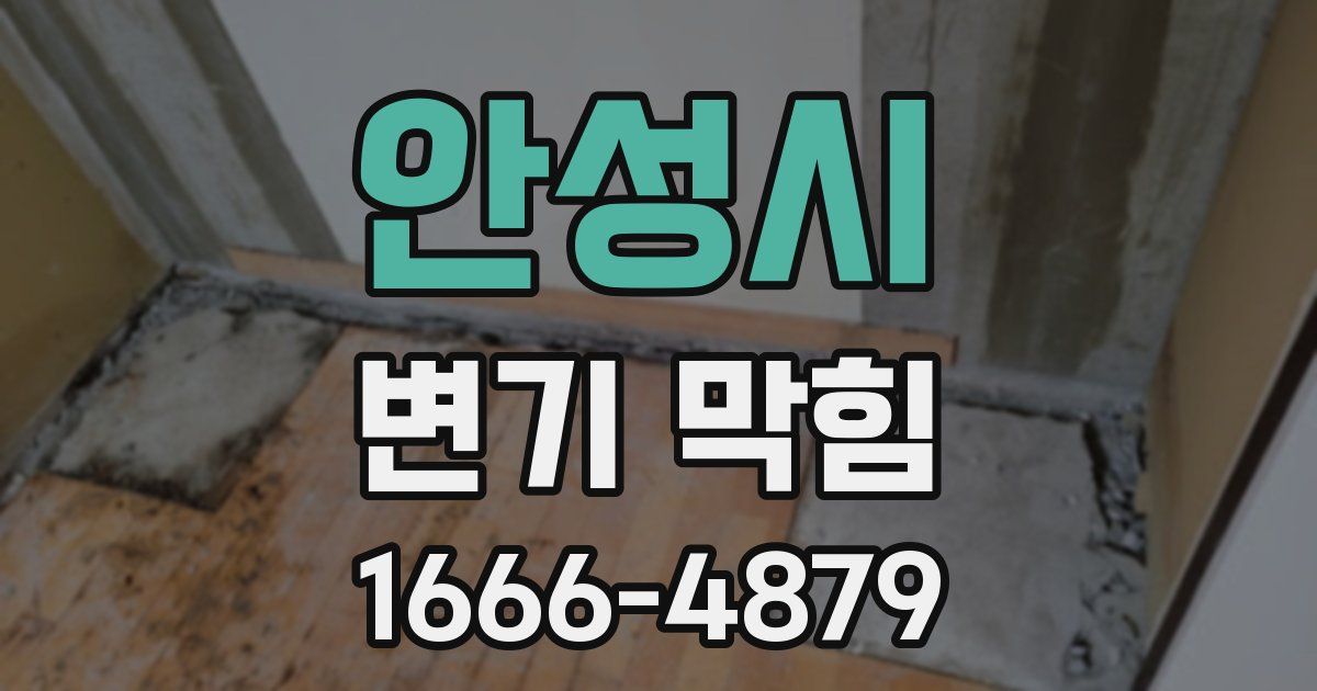 안성시 변기 막힘