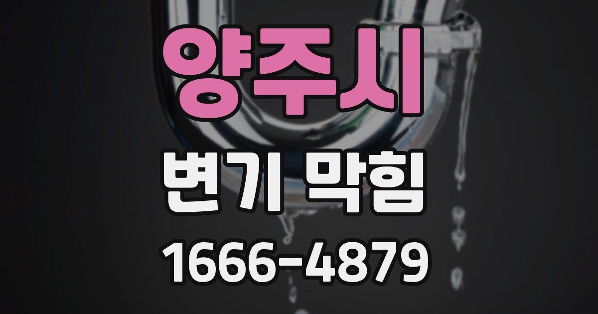 양주시 변기 막힘