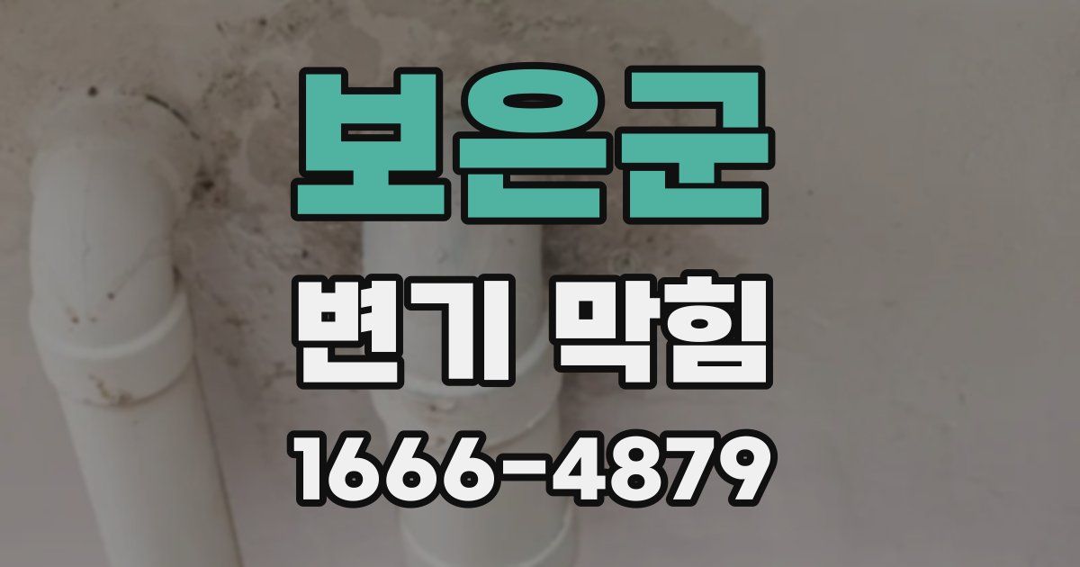 보은군 변기 막힘