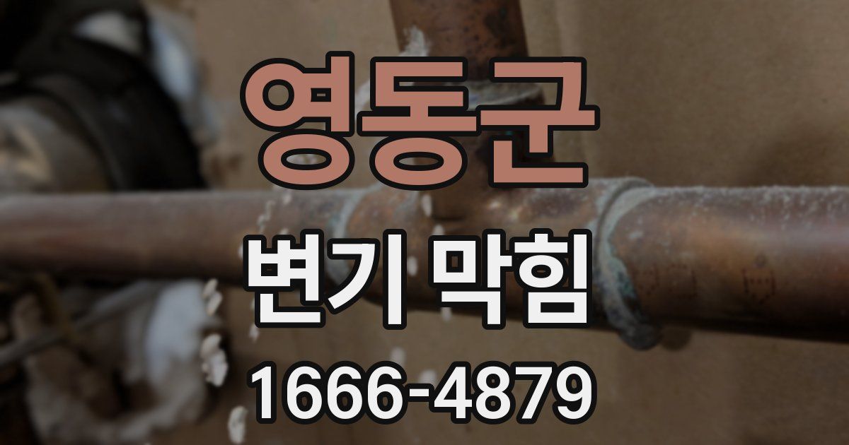 영동군 변기 막힘