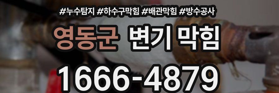 영동군 변기 막힘