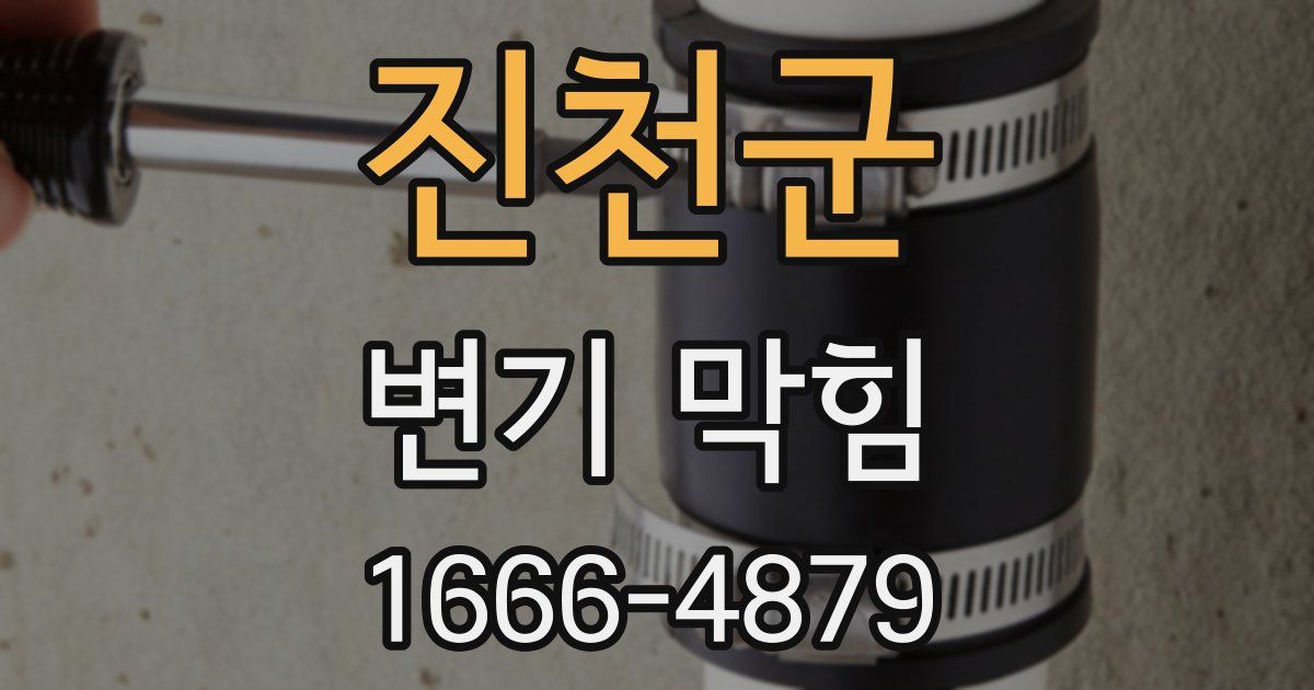 진천군 변기 막힘