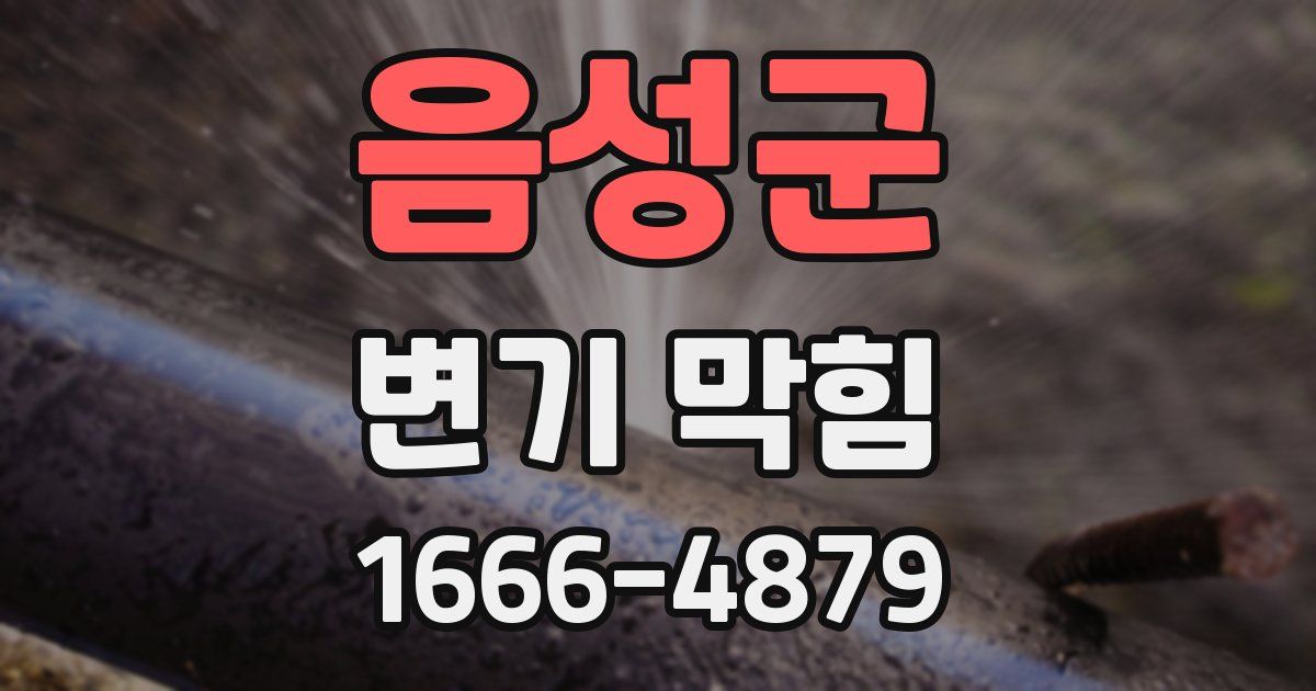 음성군 변기 막힘