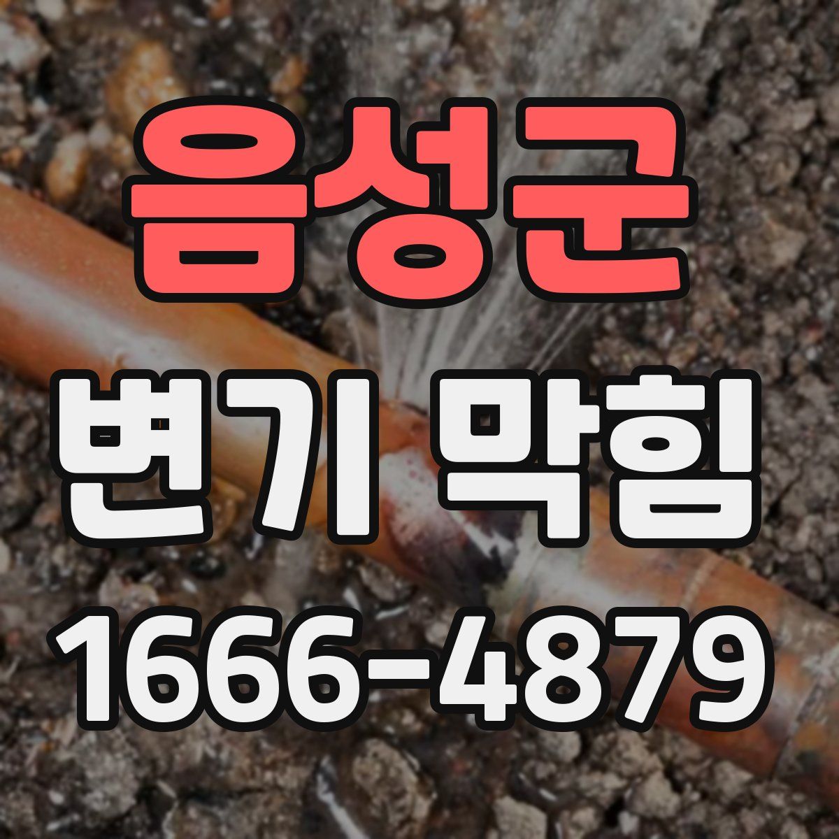 음성군 변기 막힘