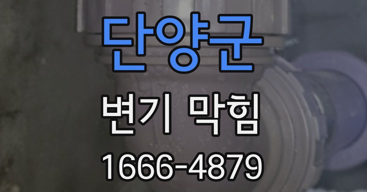 단양군 변기 막힘