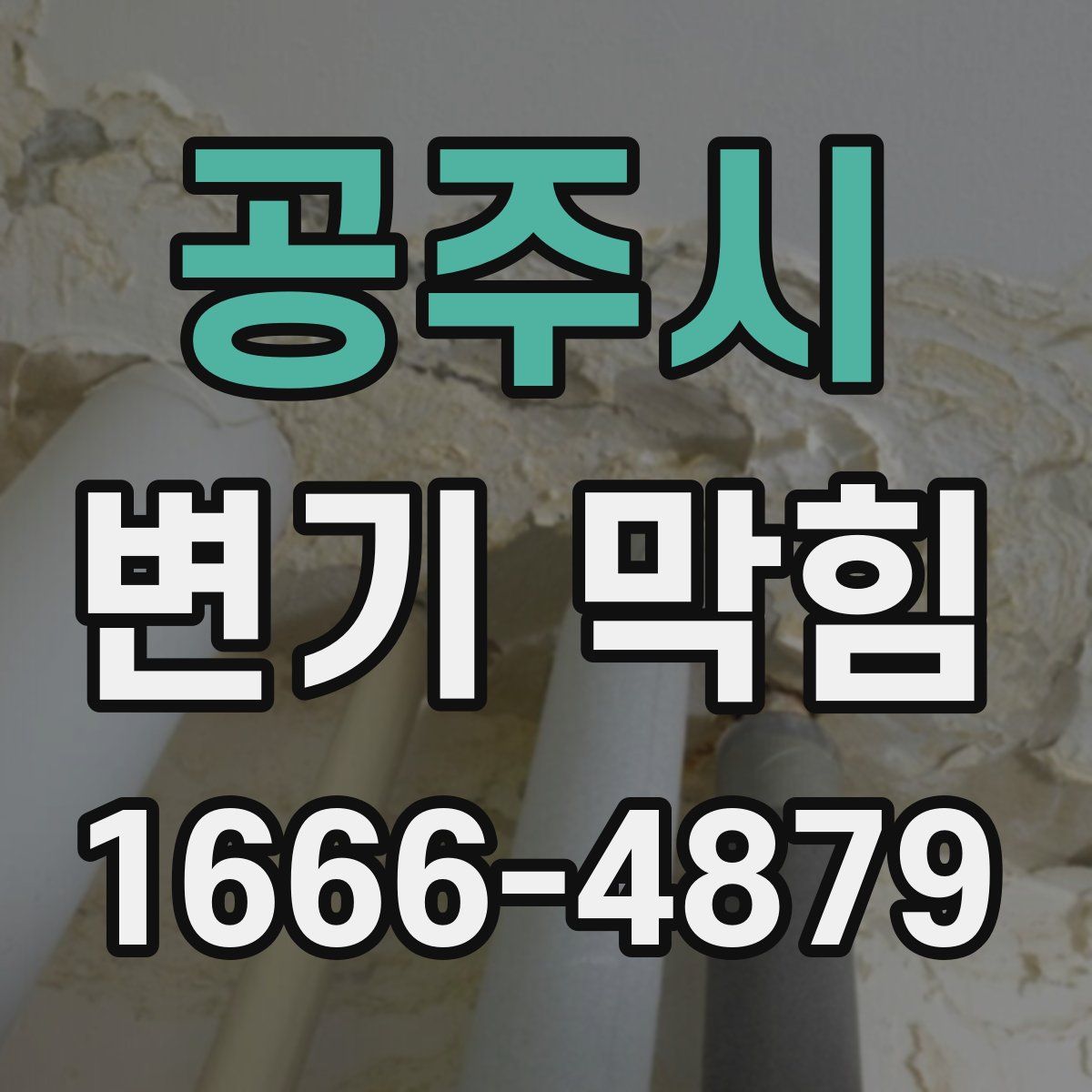 공주시 변기 막힘