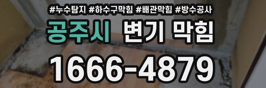공주시 변기 막힘
