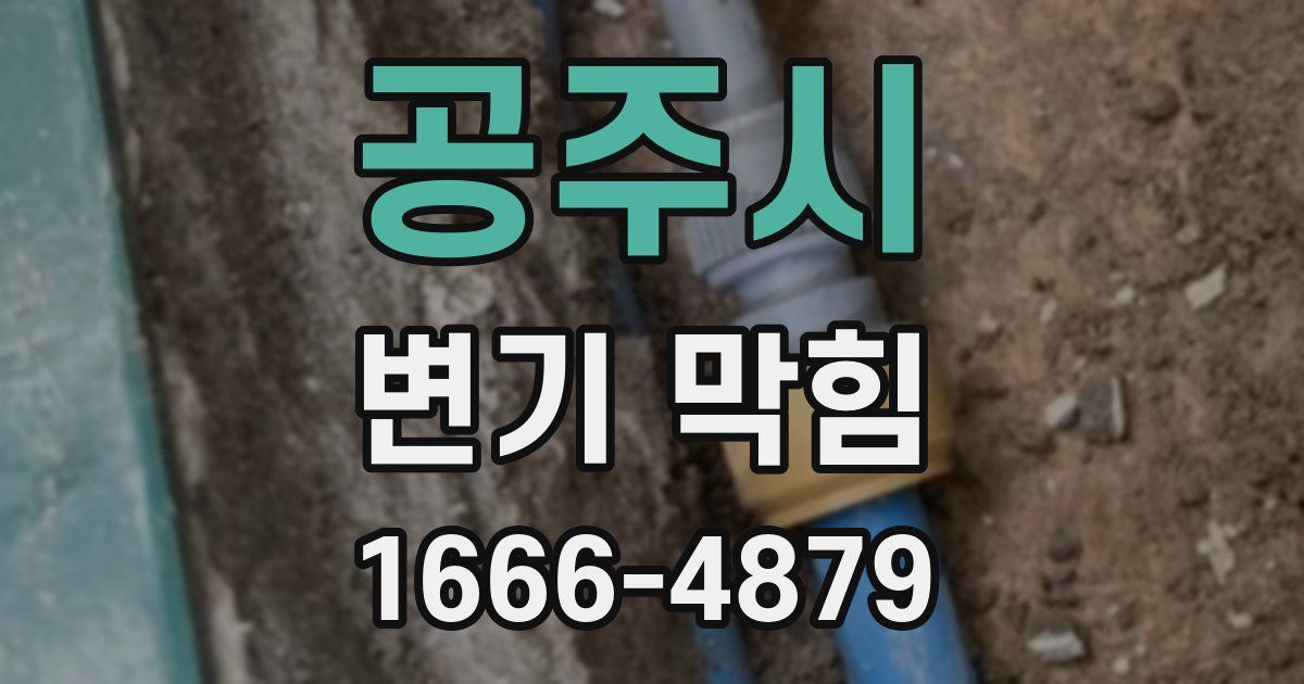 공주시 변기 막힘